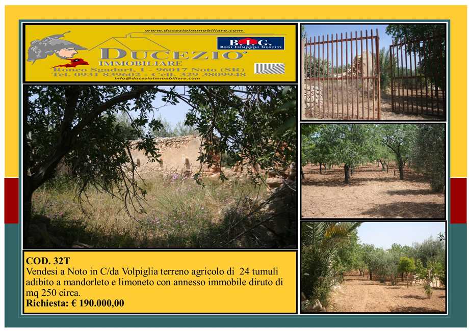 For sale Ruin Noto #32T n.1