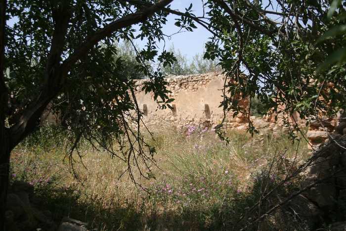For sale Ruin Noto #32T n.3