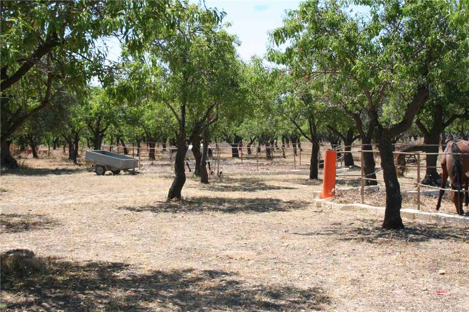 For sale Agritourism Noto #68AG n.9