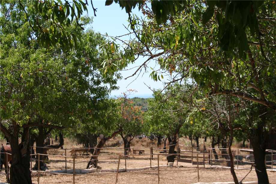 For sale Agritourism Noto #68AG n.10