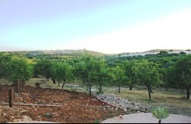 For sale Agritourism Noto #68AG n.6
