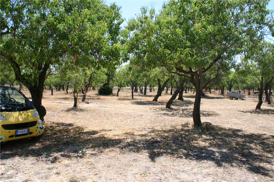 For sale Agritourism Noto #68AG n.7