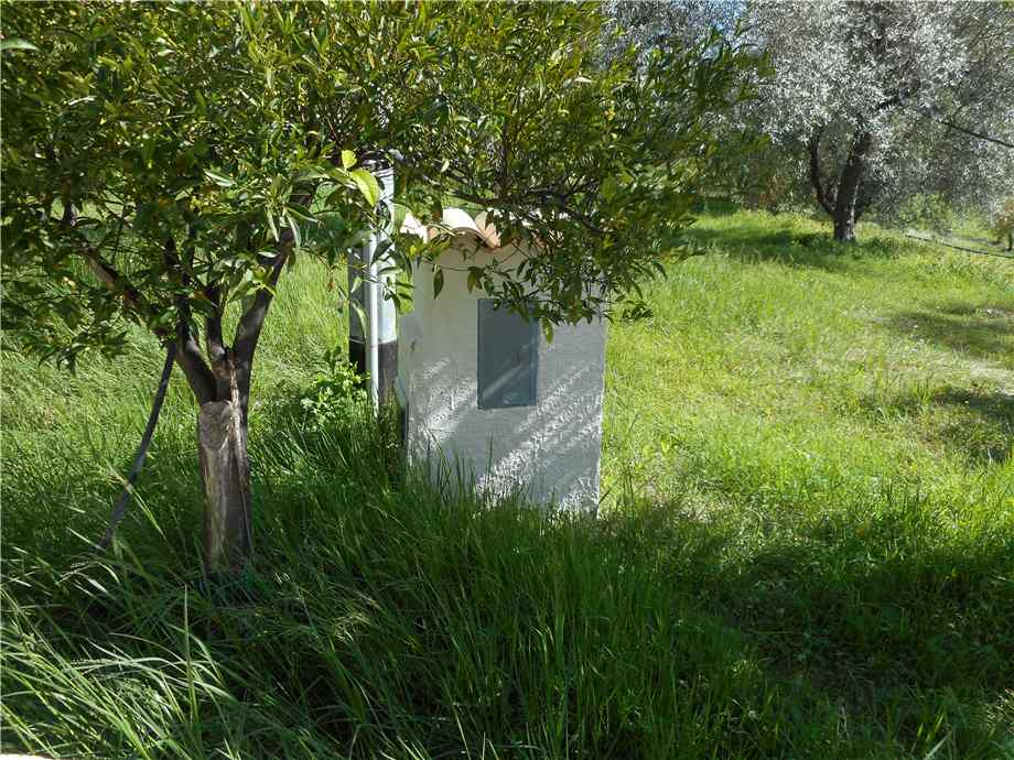 Vendita Terreno Noto #1TA n.3