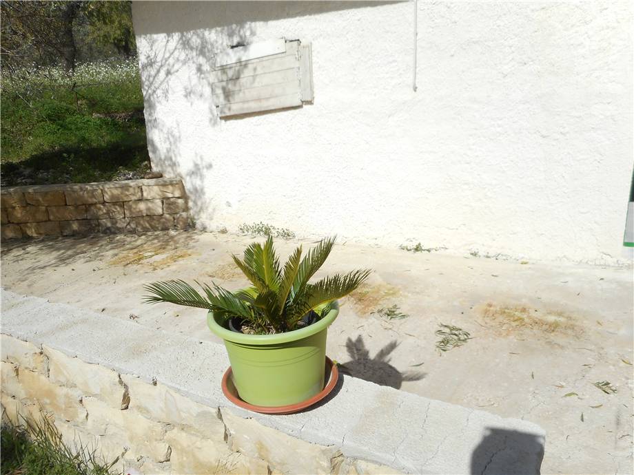 Vendita Terreno Noto #1TA n.5