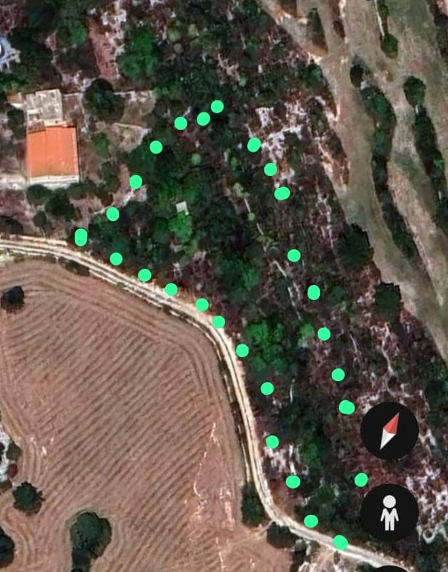 Vendita Terreno Noto #11TT n.9