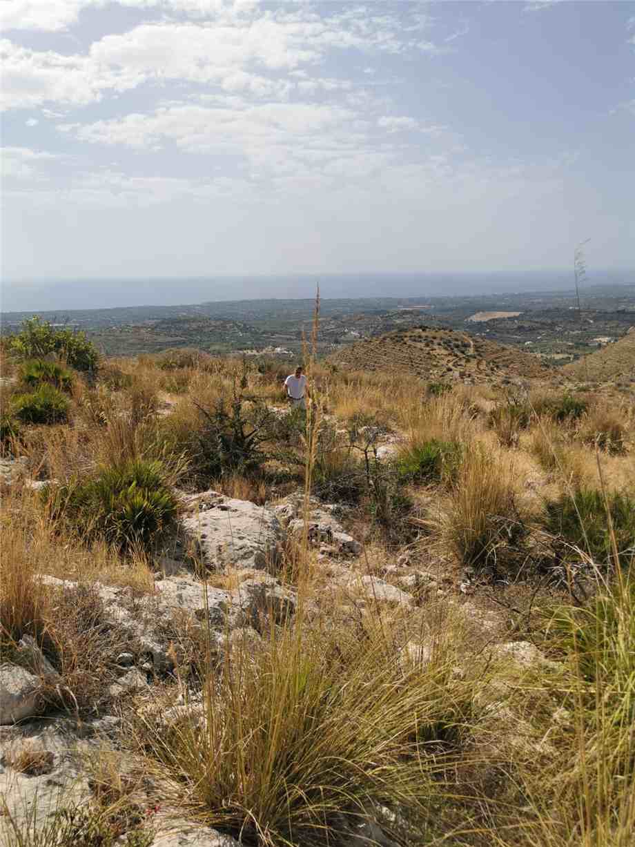 Vendita Terreno Avola  #1TC n.8