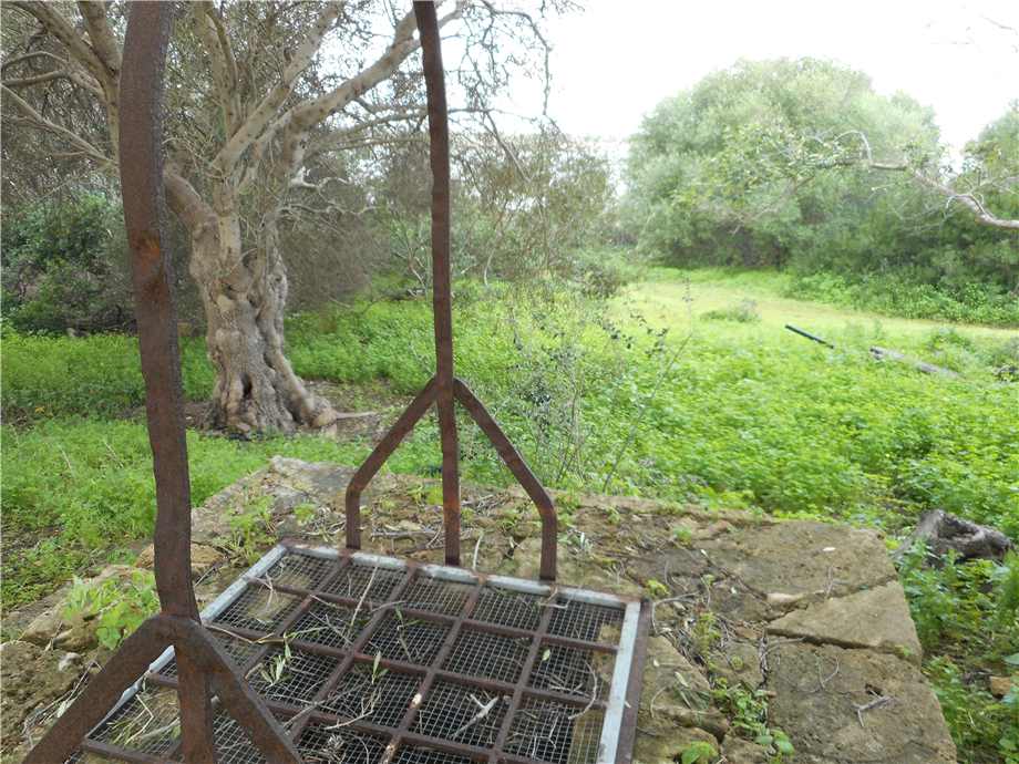 For sale Ruin Noto #352RM n.3
