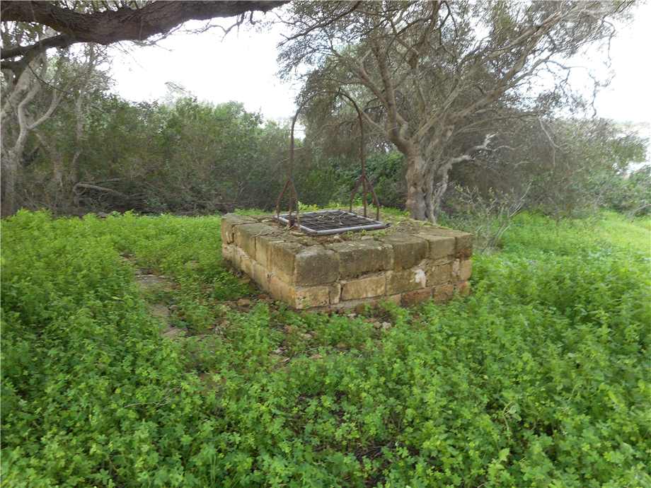 For sale Ruin Noto #352RM n.4