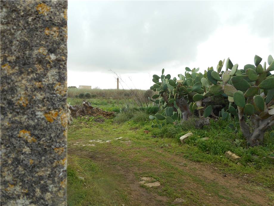 For sale Ruin Noto  #352RM n.8