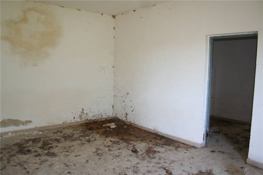For sale Ruin Noto #46T n.11
