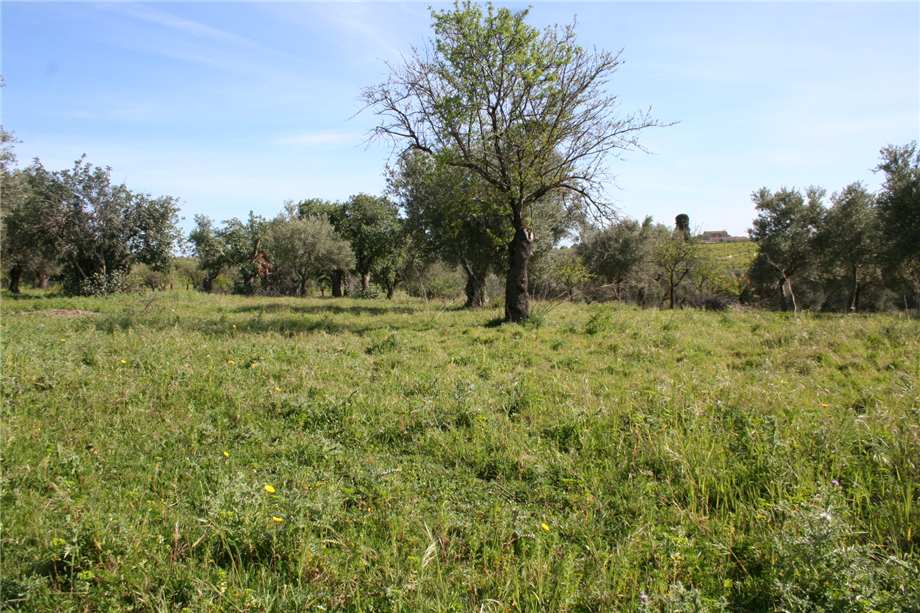 For sale Ruin Noto #46T n.5