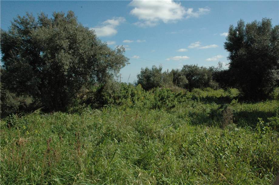 Vendita Terreno Canicattini Bagni C/DA BOSCO DI SOPRA #2T n.10