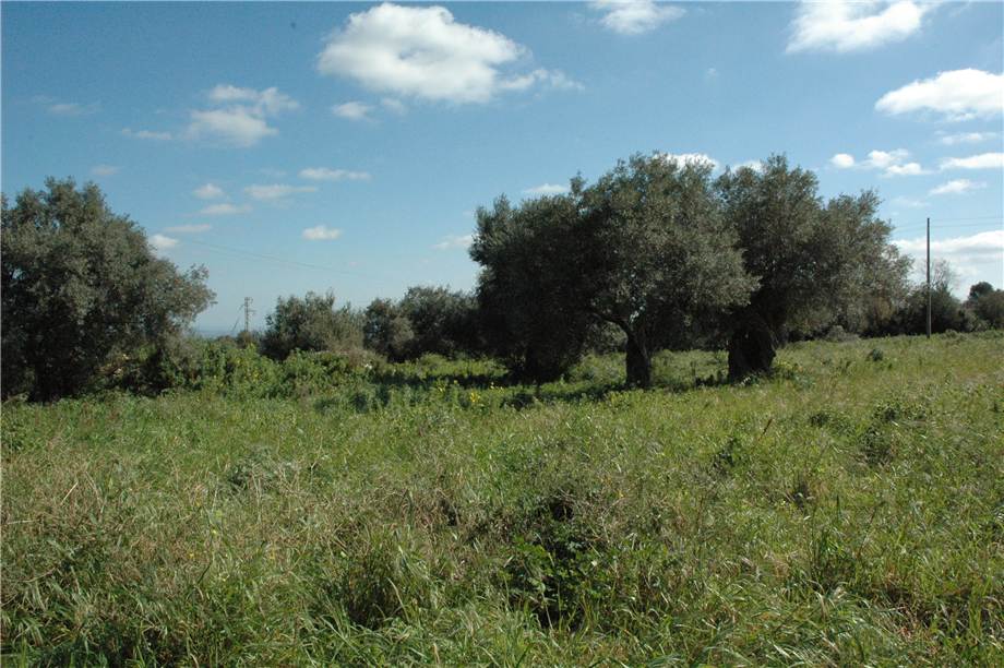 Vendita Terreno Canicattini Bagni C/DA BOSCO DI SOPRA #2T n.14