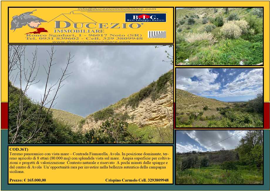 For sale Bare land Avola #36T n.1