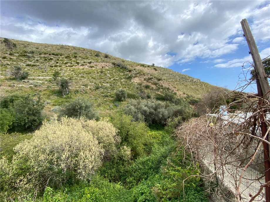 For sale Bare land Avola #36T n.3