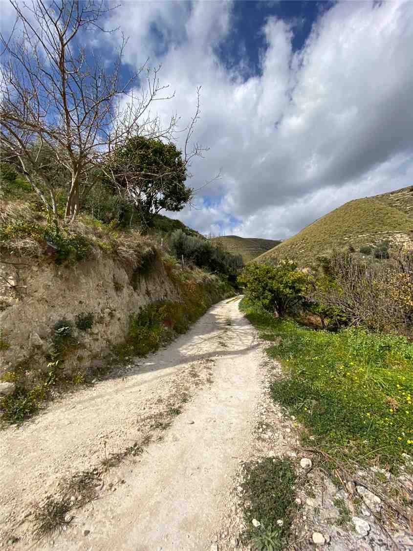 For sale Bare land Avola #36T n.4