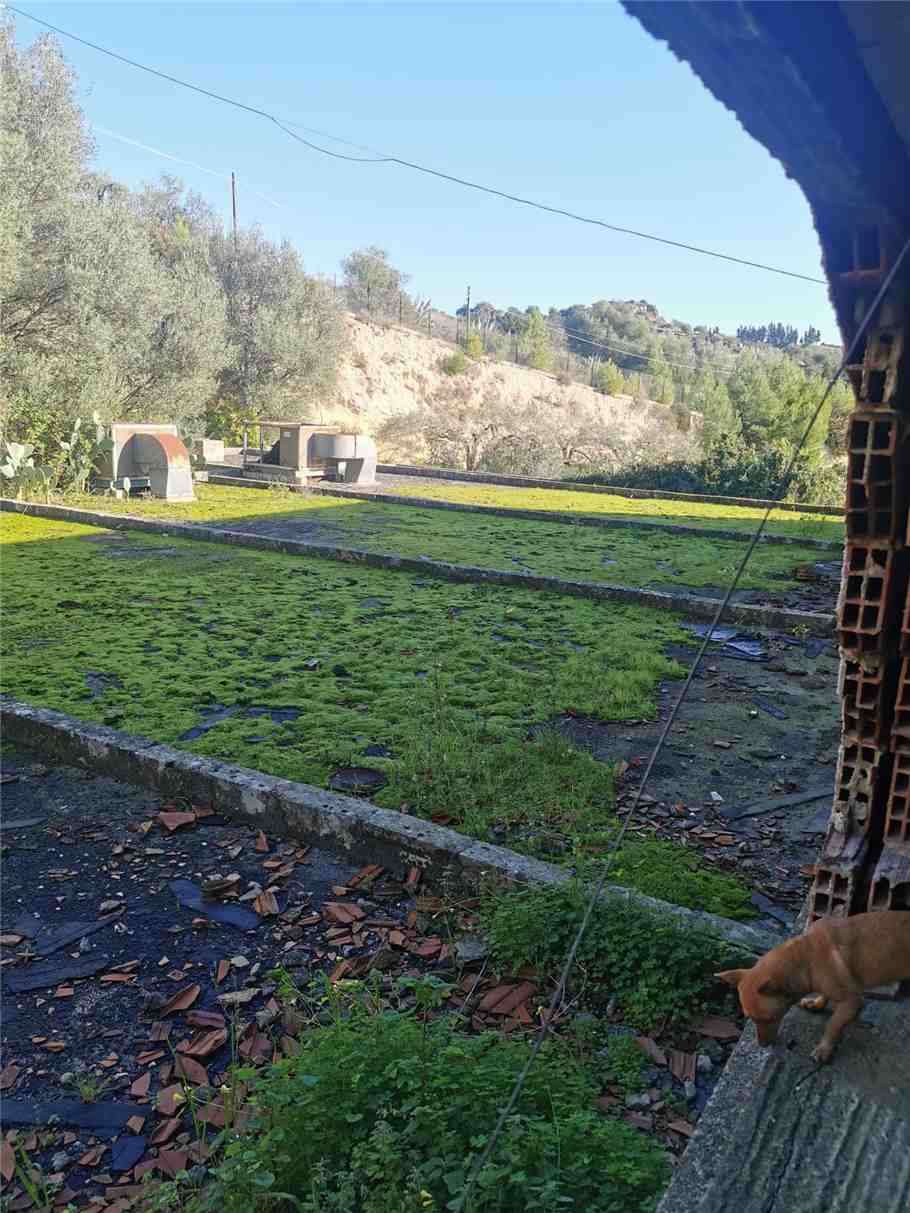 For sale Warehouse Noto #2ST n.7