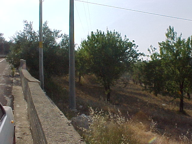 Vendita Terreno Avola #131T n.5
