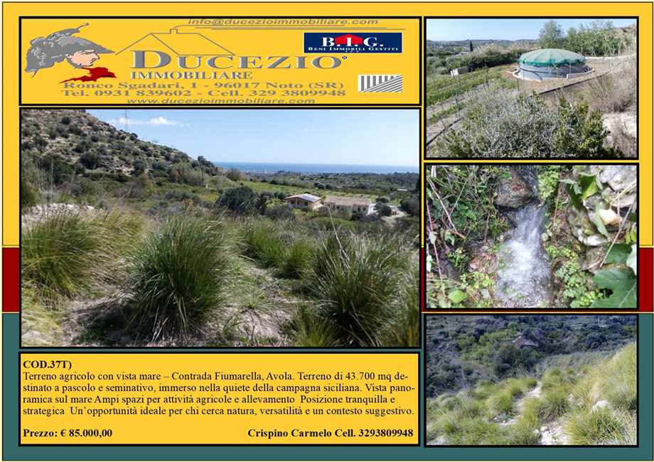 For sale Bare land Avola #37T n.1