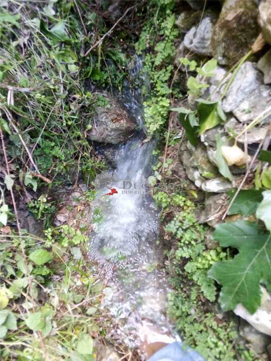 For sale Bare land Avola #37T n.13
