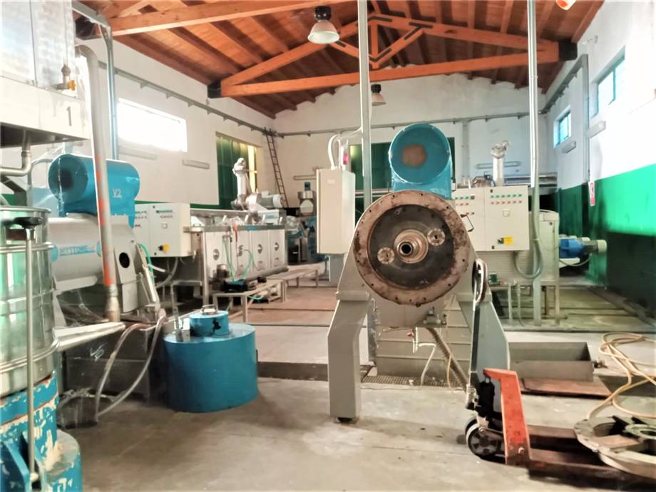 For sale Agricultural company Noto  #4OL n.10