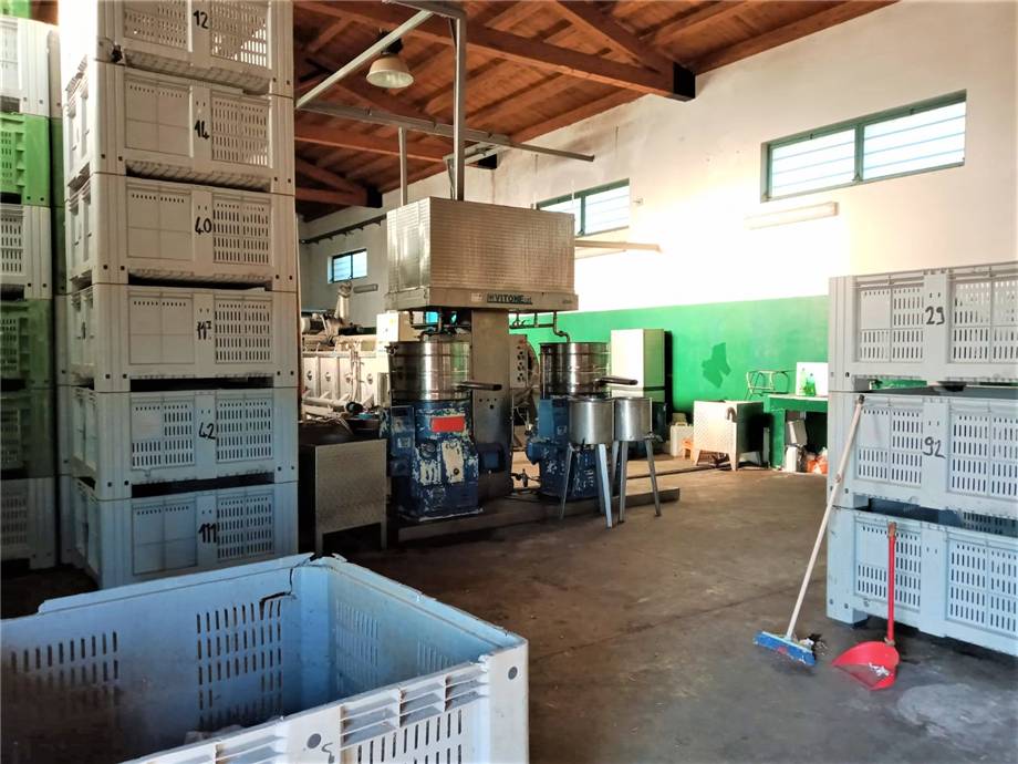 For sale Agricultural company Noto  #4OL n.11