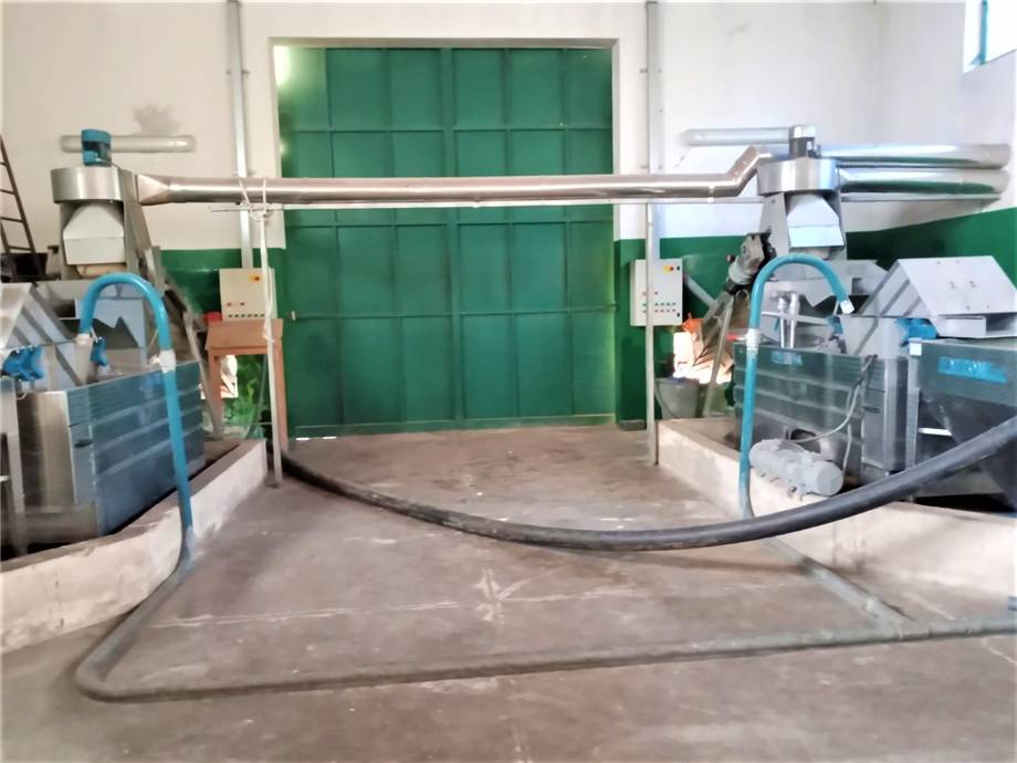 For sale Agricultural company Noto  #4OL n.12