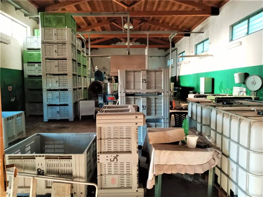 For sale Agricultural company Noto  #4OL n.9