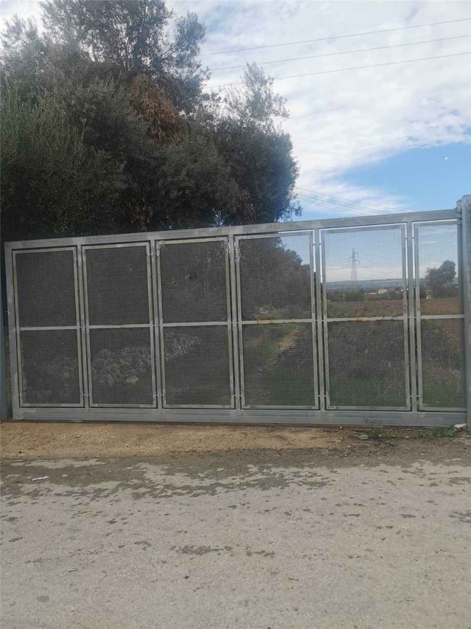 For sale Ruin Siracusa #50T n.12