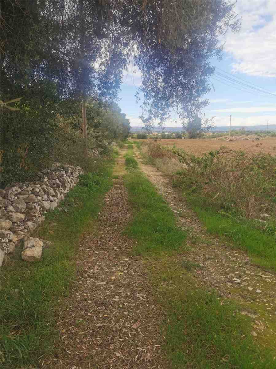 For sale Ruin Siracusa  #50T n.8