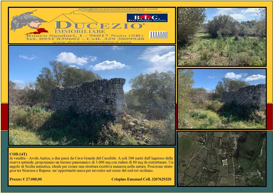 For sale Ruin Avola #14T n.1