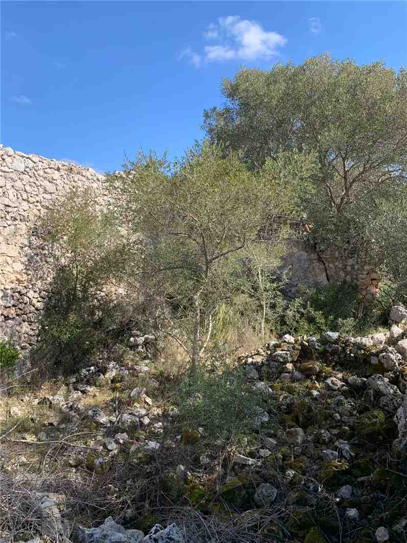 For sale Ruin Avola #14T n.2