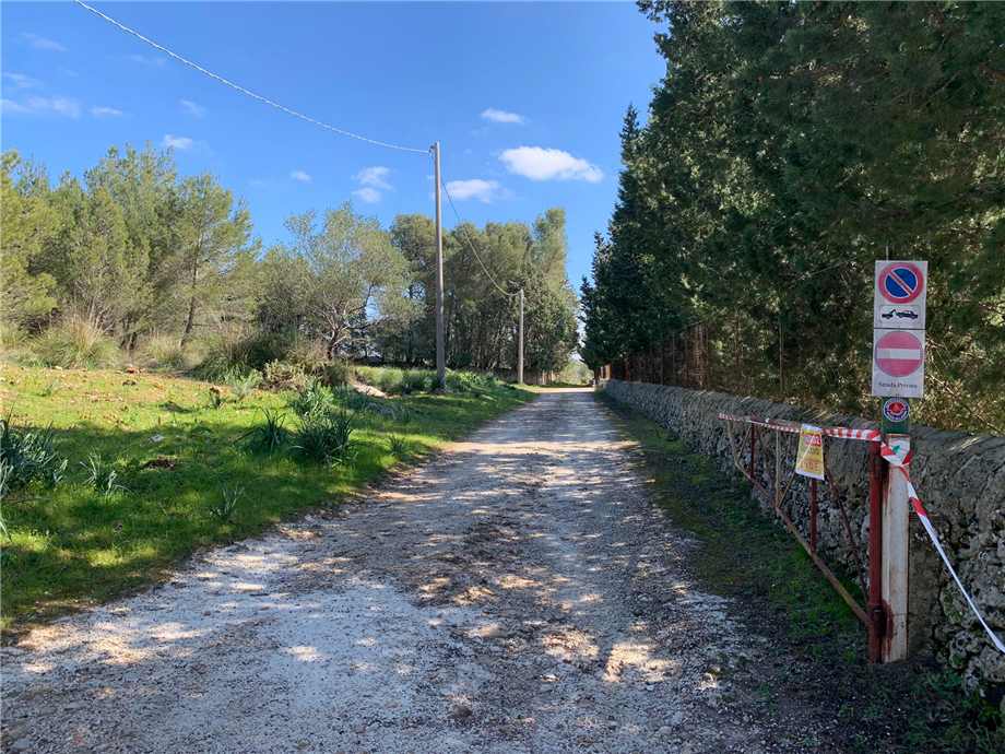 For sale Ruin Avola #14T n.3