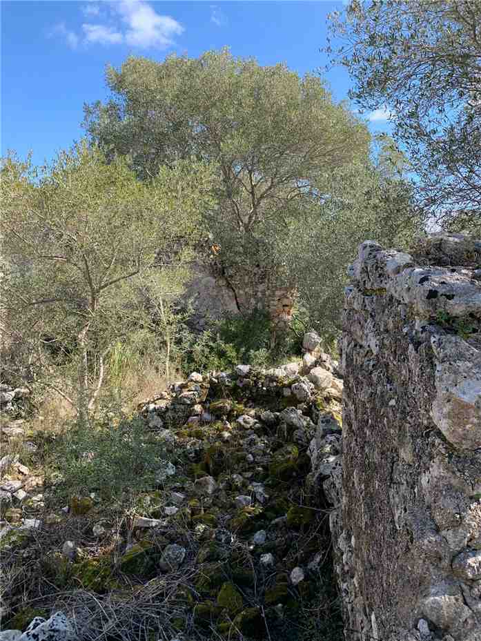 For sale Ruin Avola  #14T n.8