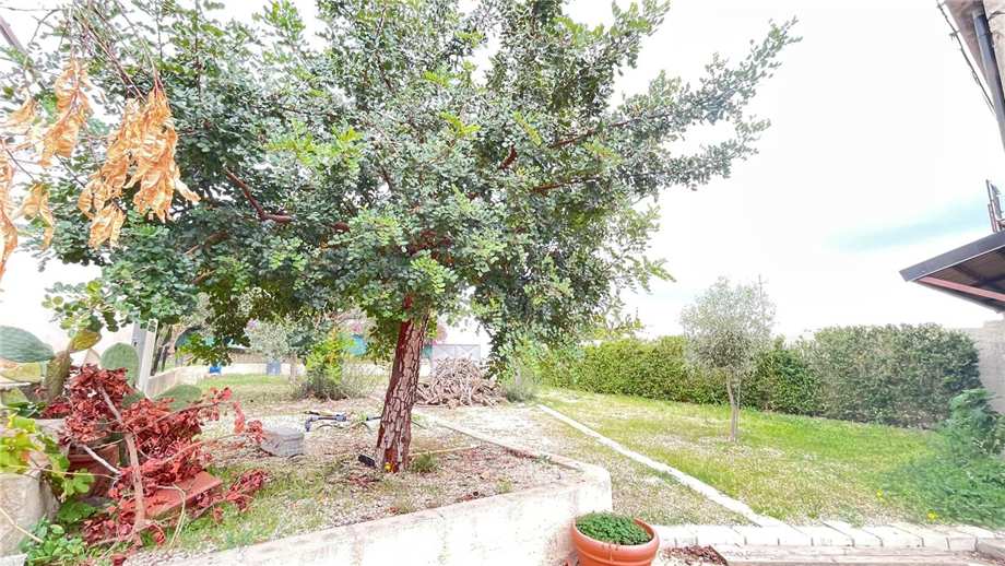 For sale Storage Rosolini #38LC n.10