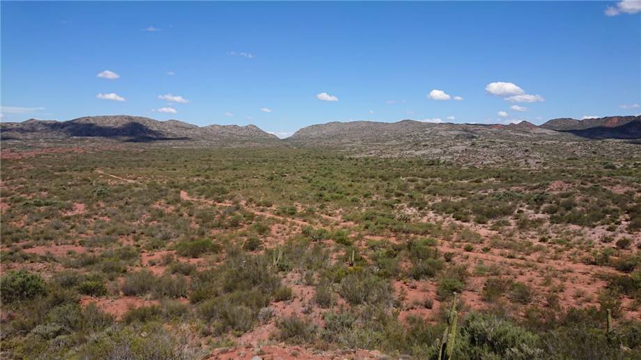 For sale Bare land Patquia De la Rioja #16TAG n.13
