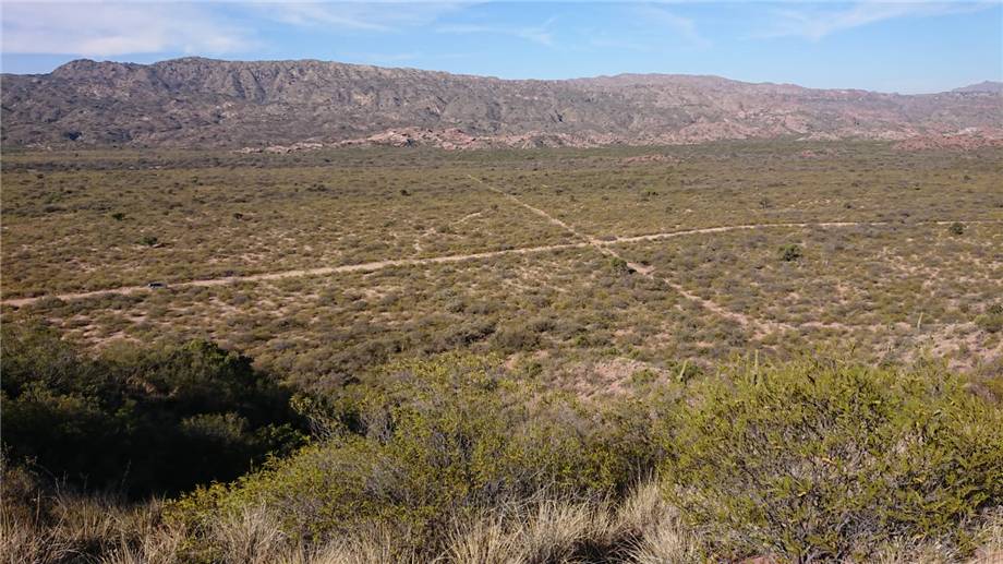 For sale Bare land Patquia De la Rioja #16TAG n.3
