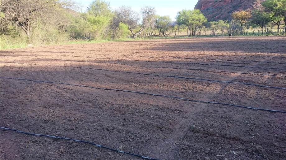 For sale Bare land Patquia De la Rioja #16TAG n.7