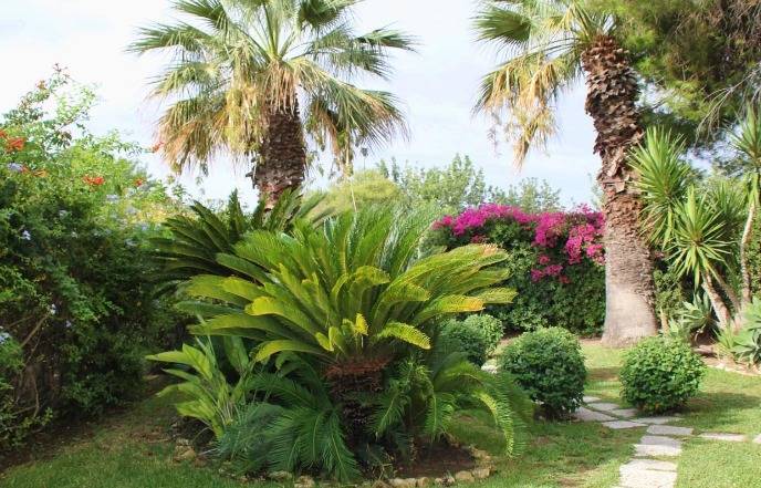For sale Single-family Villa Siracusa #10VSR n.4