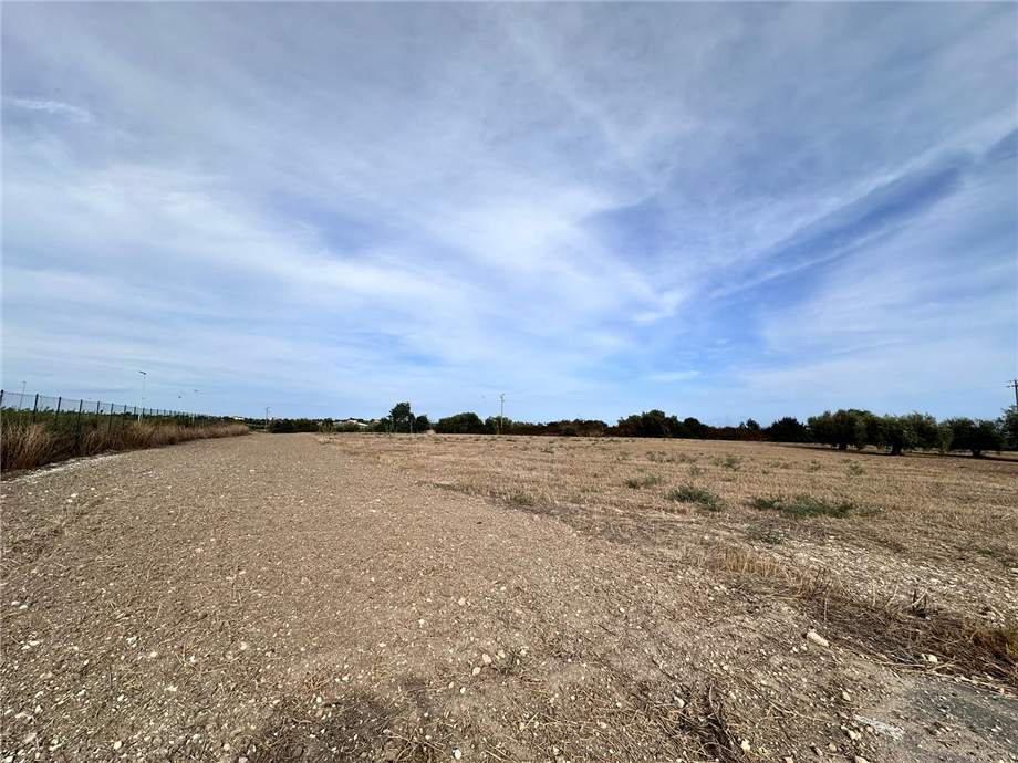 For sale Ruin Noto #25RT n.11