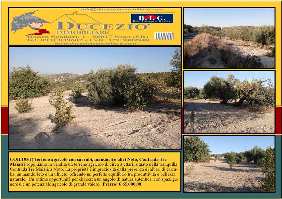 Vendita Terreno Noto #195T n.1