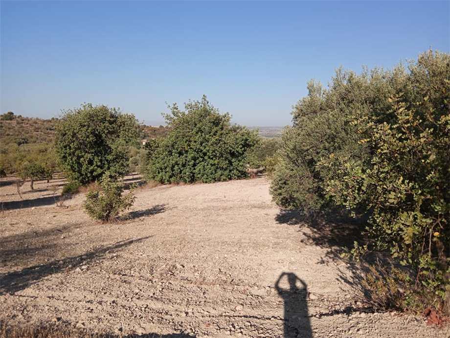 Vendita Terreno Noto #195T n.4