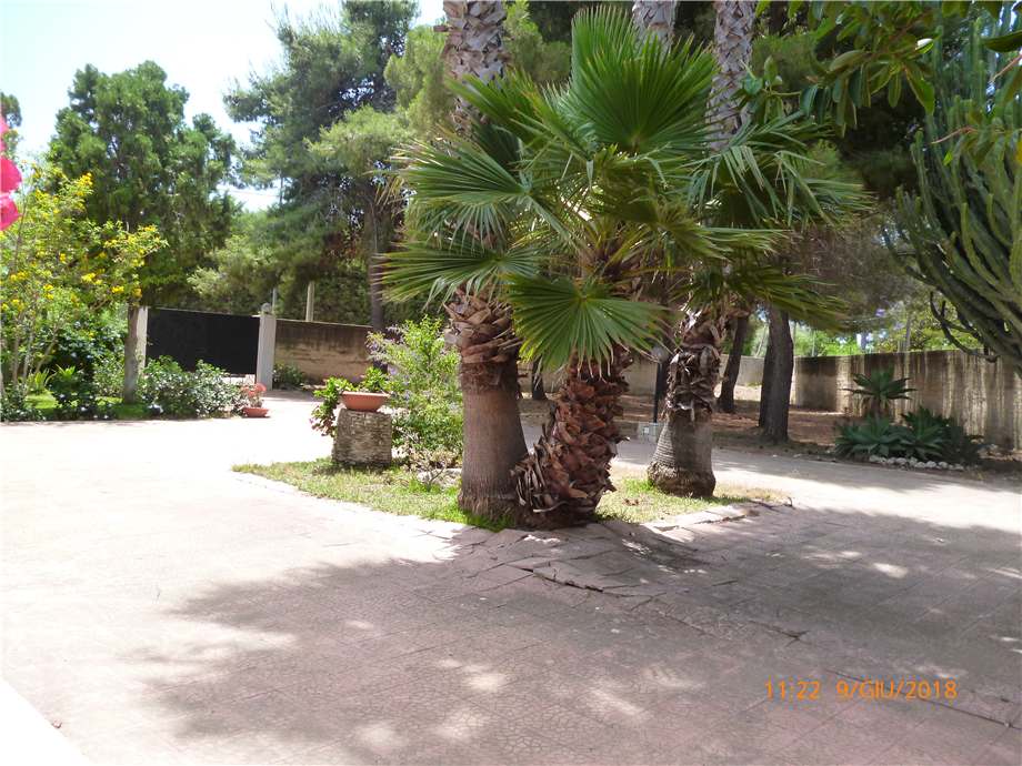 For sale Single-family Villa Siracusa FONTANE BIANCHE #3VFB n.8