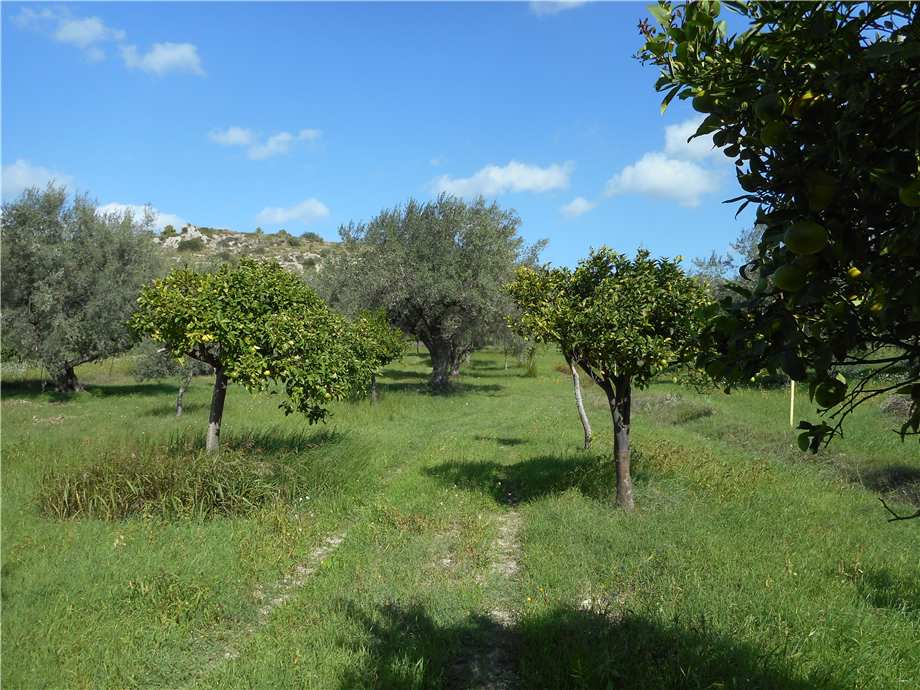 Vendita Terreno Noto #1TA n.12