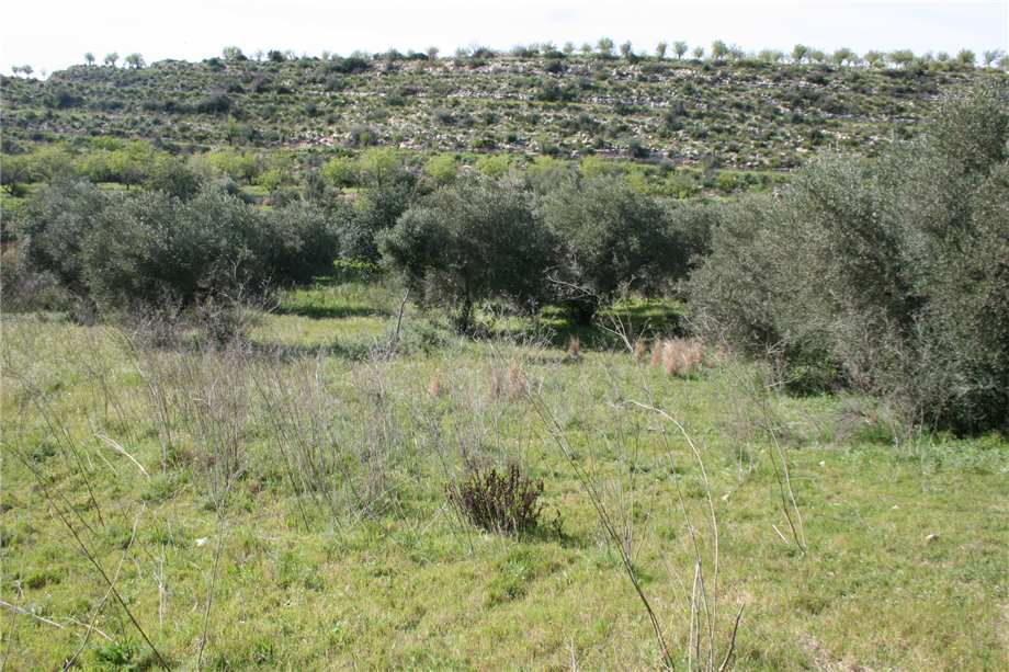 For sale Ruin Noto #46T n.20