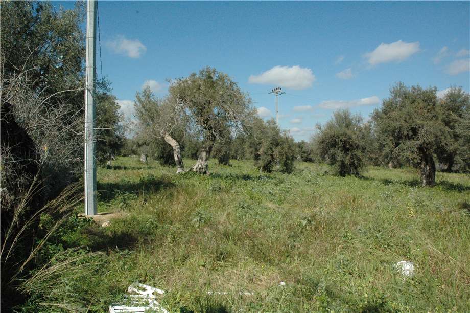 Vendita Terreno Canicattini Bagni C/DA BOSCO DI SOPRA #2T n.17