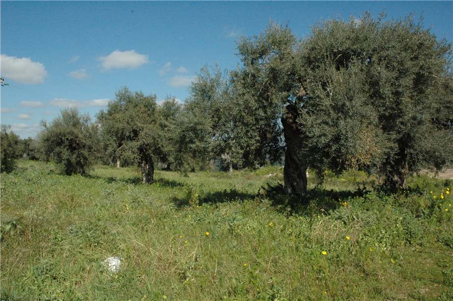Vendita Terreno Canicattini Bagni C/DA BOSCO DI SOPRA #2T n.18