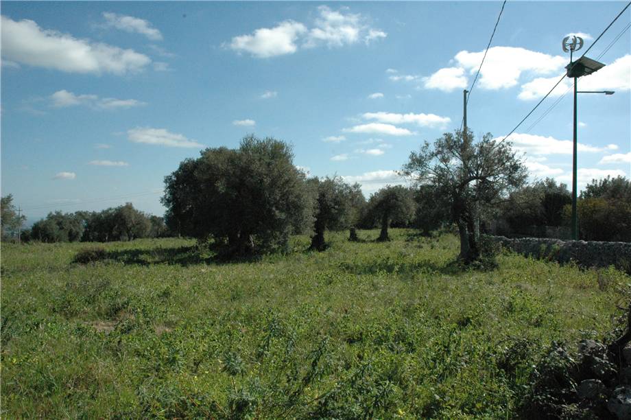Vendita Terreno Canicattini Bagni C/DA BOSCO DI SOPRA #2T n.19