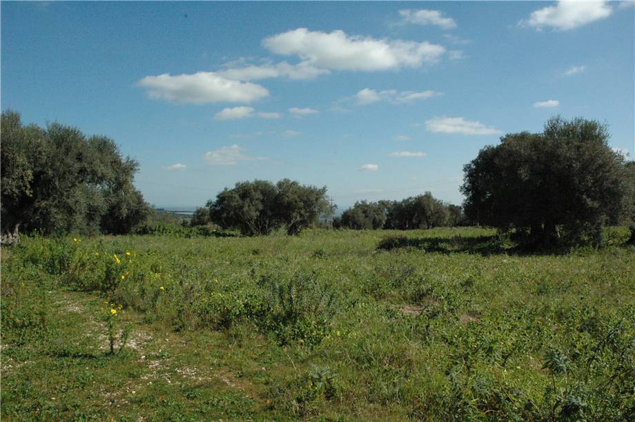 Vendita Terreno Canicattini Bagni C/DA BOSCO DI SOPRA #2T n.20