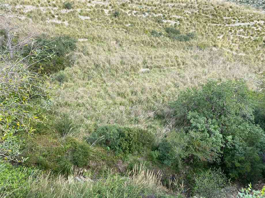 For sale Bare land Avola #36T n.8
